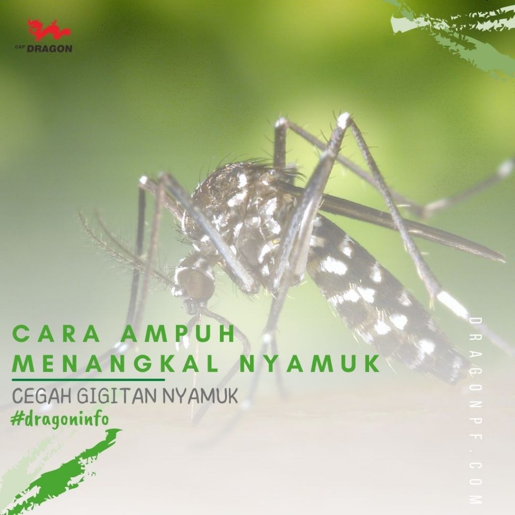 Ampuh Cegah Gigitan Nyamuk